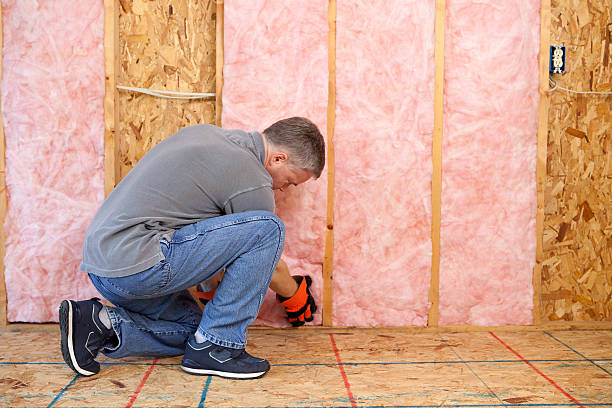 Best Blown-in Insulation in Pixley, CA